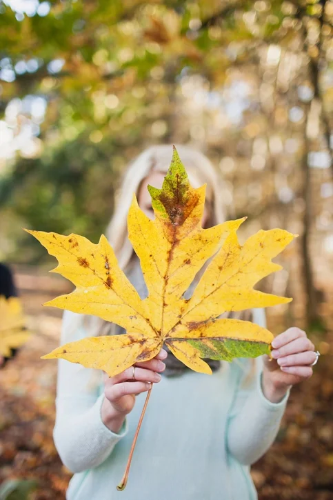 Wherever the wind takes us