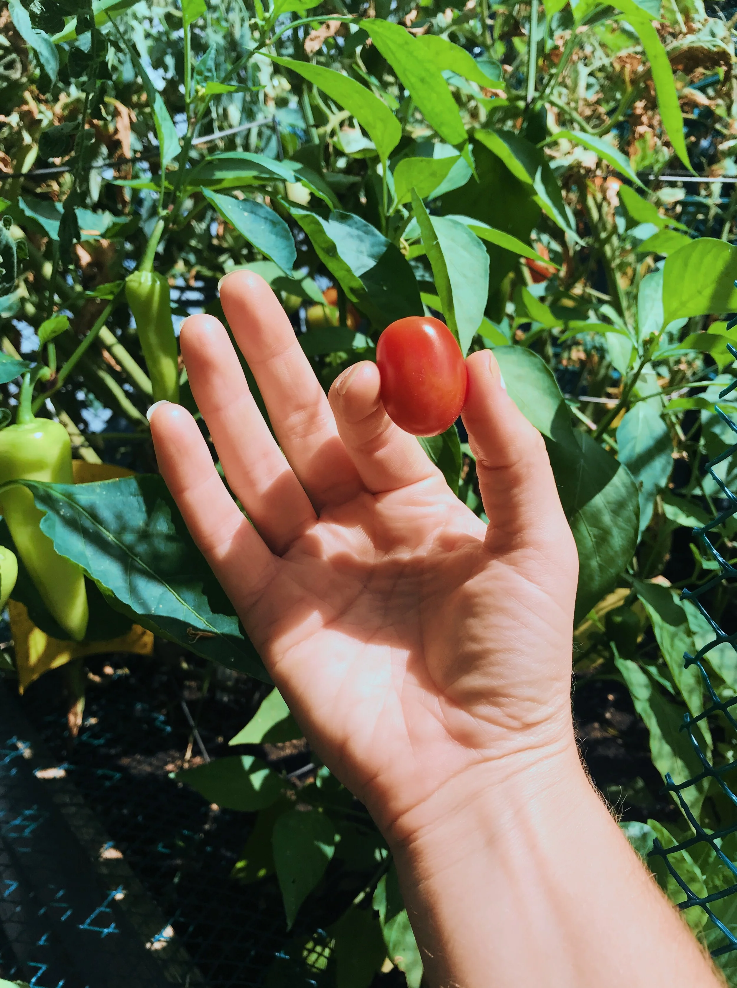 Hope for when you don't feel productive