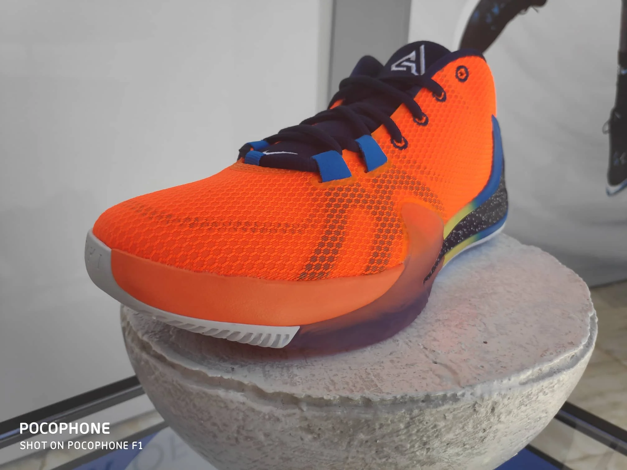 zoom freak 1 australia