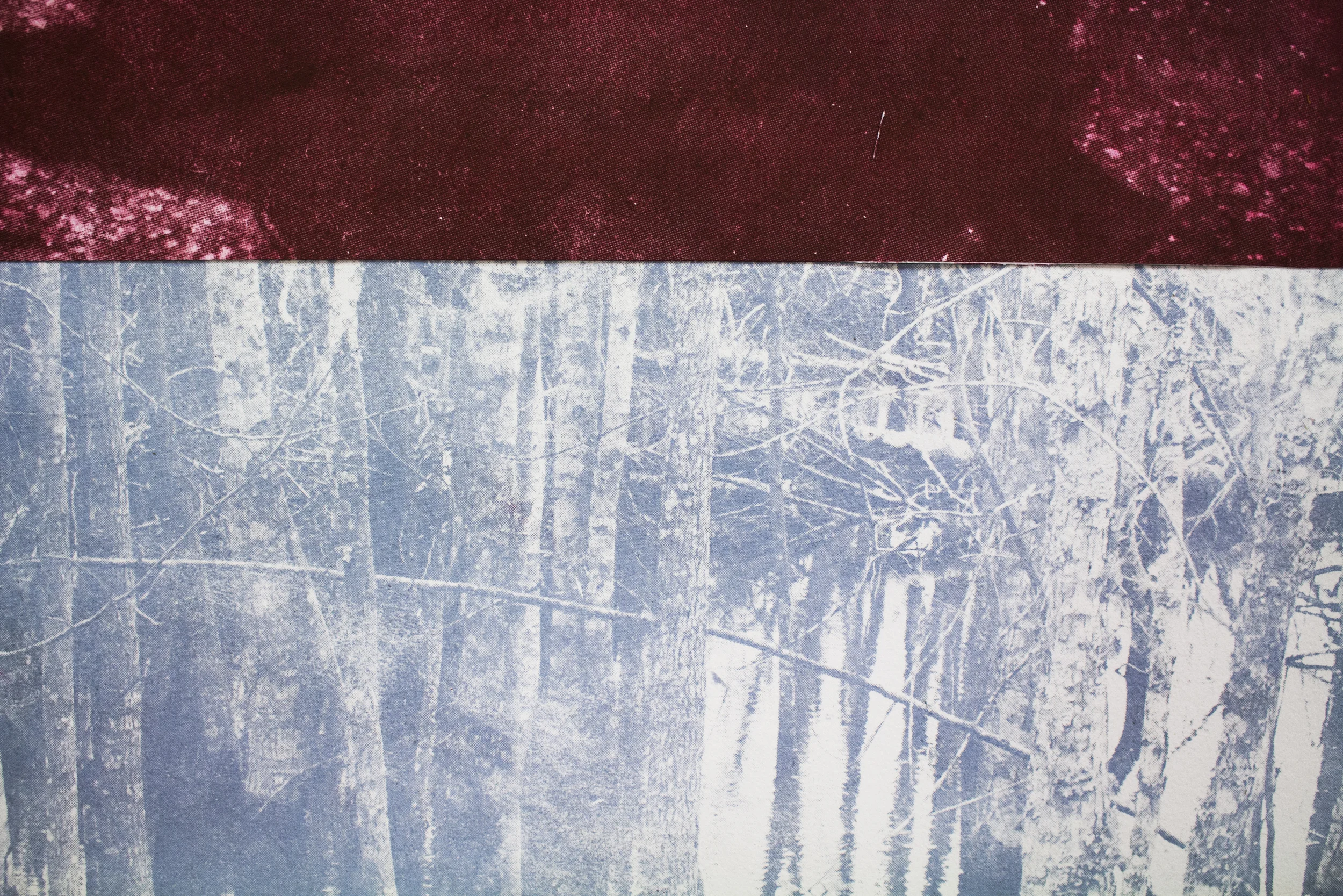 (Detail)