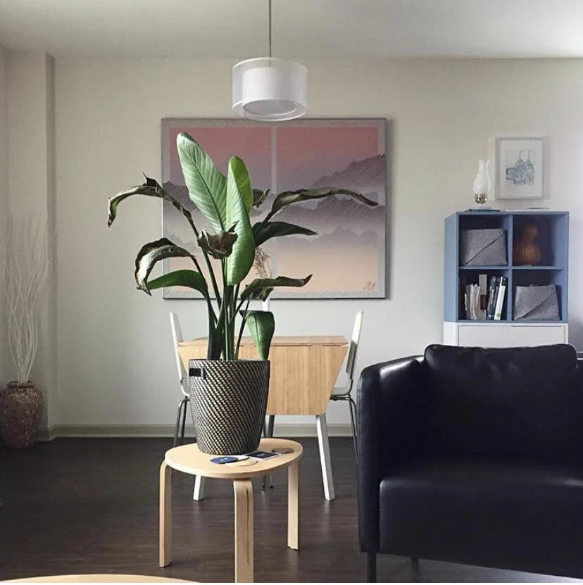 #PeacefulHomeChallenge 