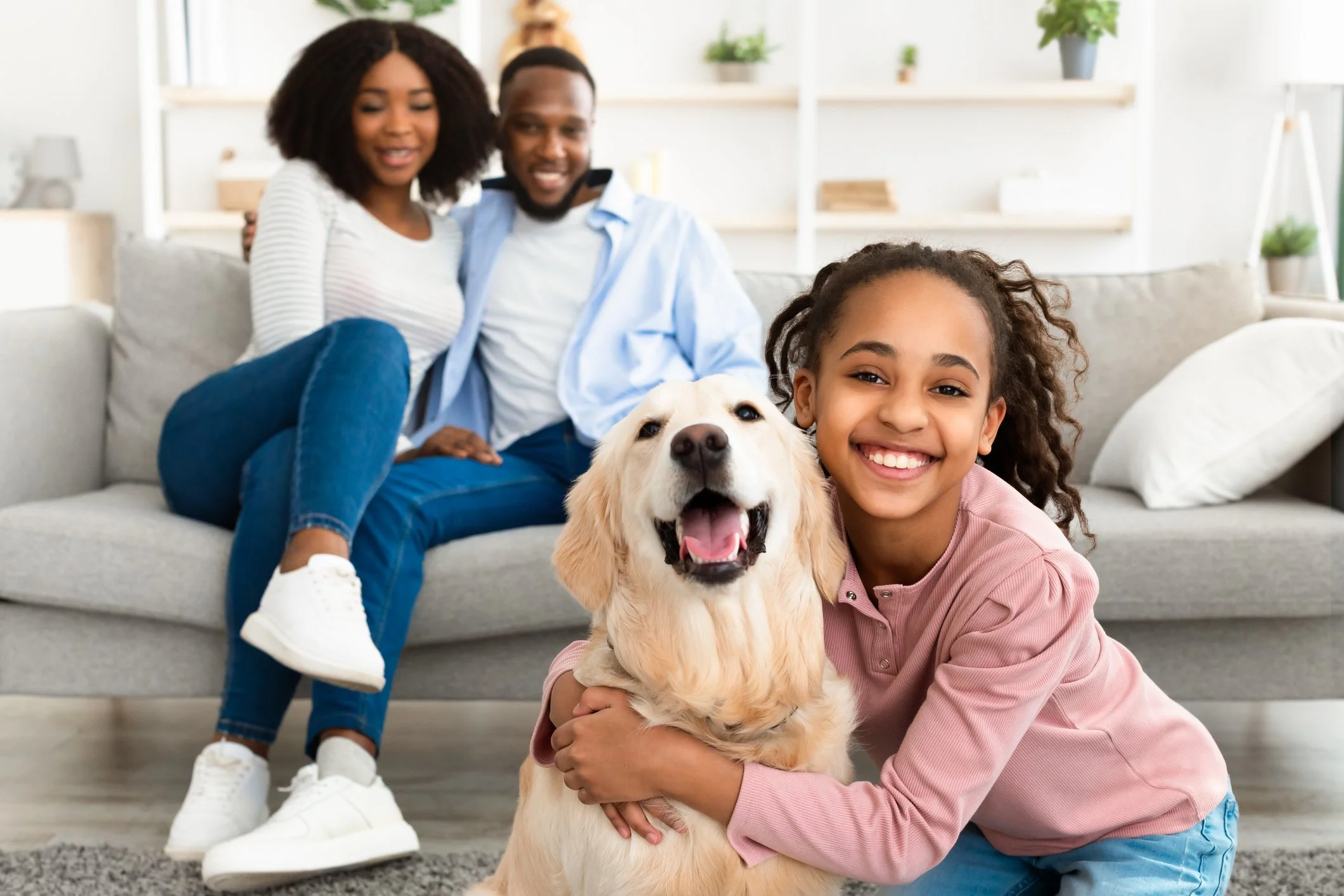 Maintaining a Clean Home with Pets