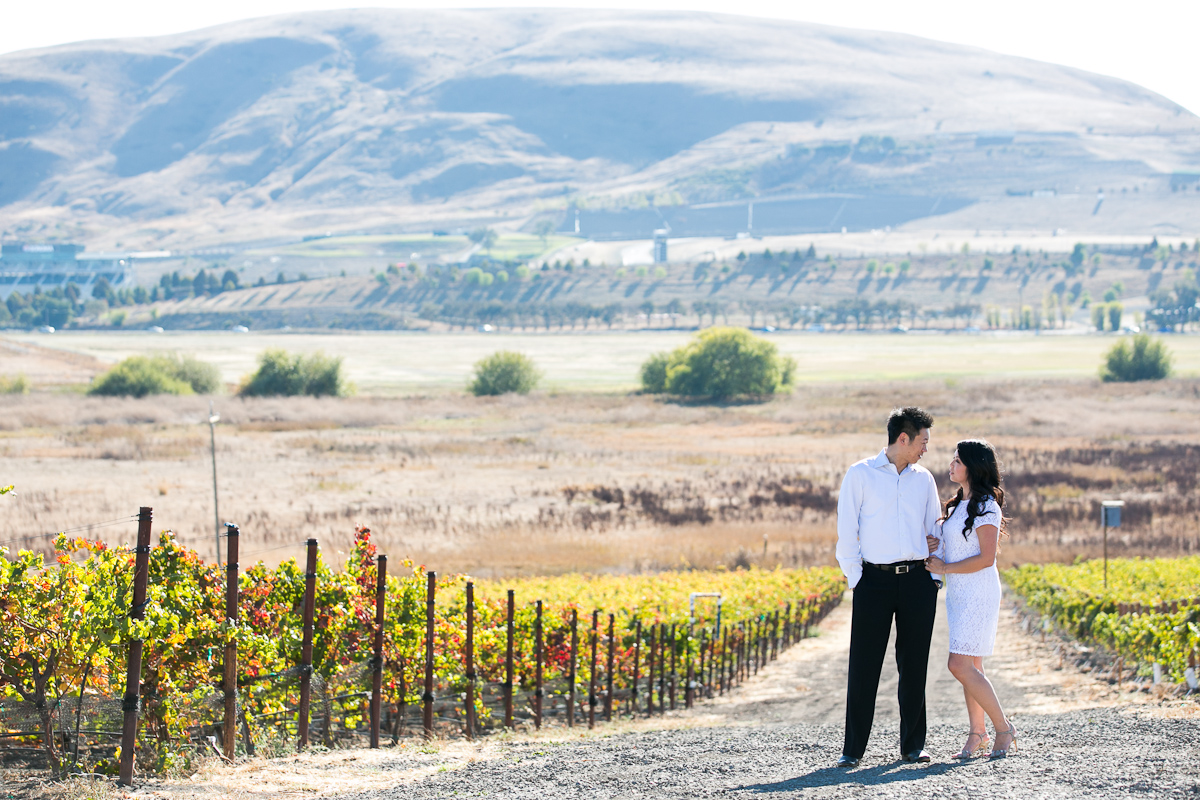 Ronnie-Vic-003-3-winery-engagement-sonoma.jpg