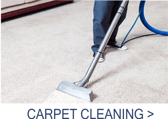 Carpet Cleaning grid