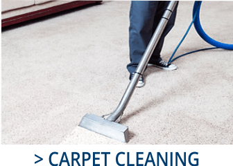 carpet cleaning grid