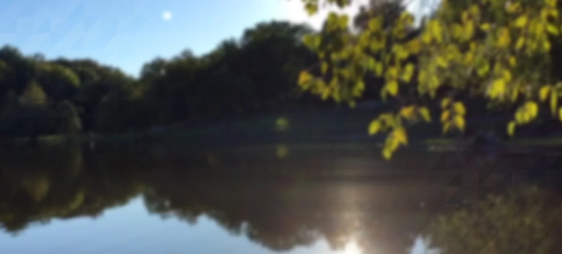 background-06.jpg
