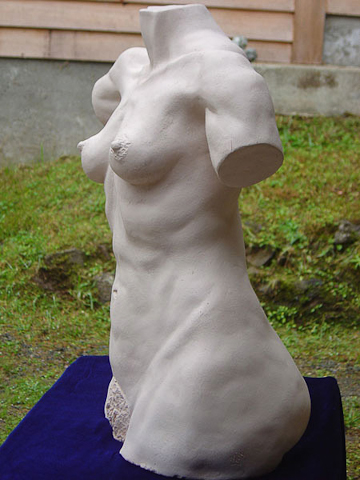Female Torso