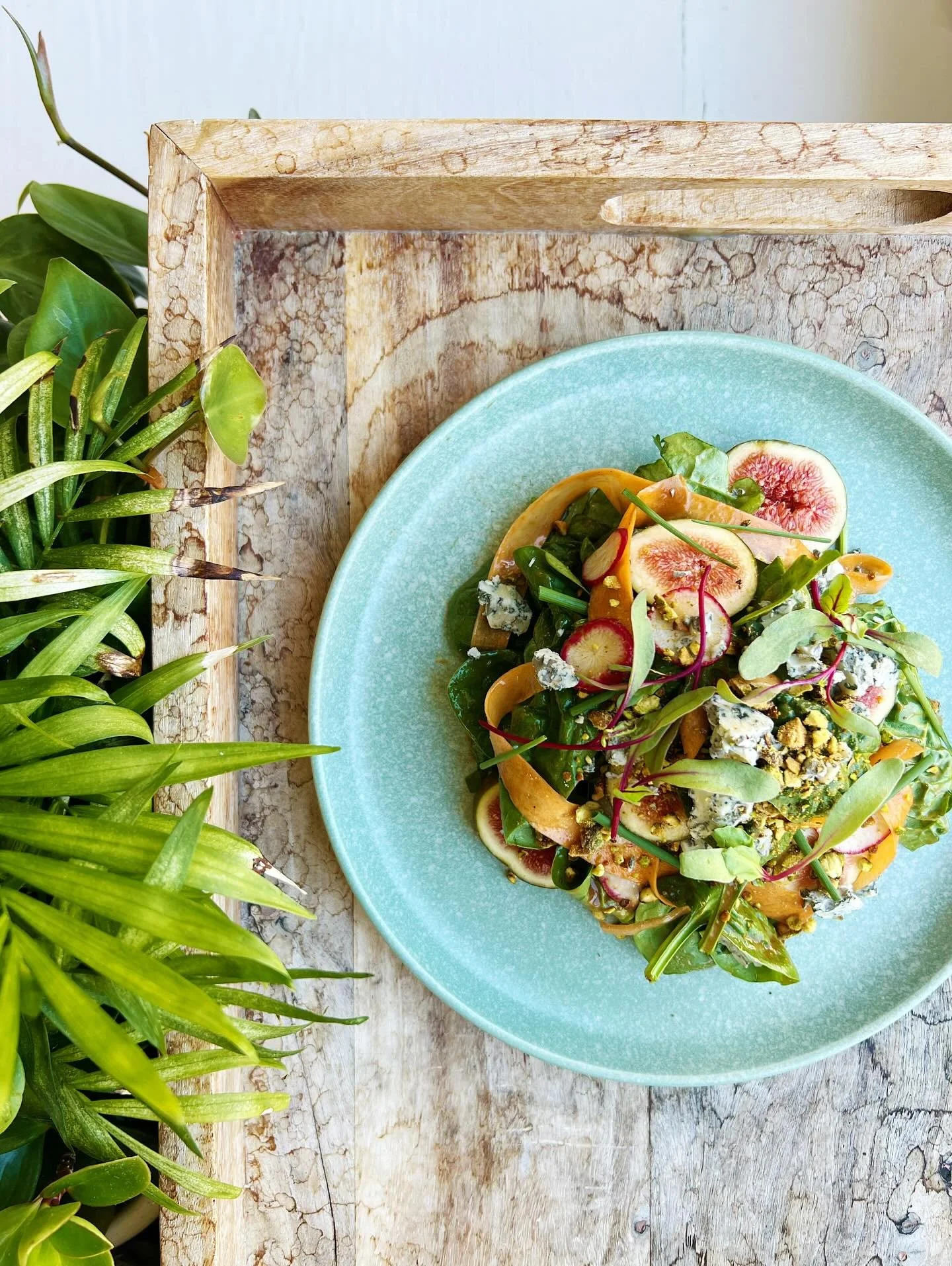 holyyyyyyy gorgeous day ☀️ 

🌿💜🌿💜🌿💜

fifer orchard ✨F I G✨salad
leafy spinach greens
shaved radishes &amp; carrots
honey roasted pistachios
crumbled Birchrun Hill Farm blue cheese
summer herbs
fig &amp; balsamic dressing

🧑&zwj;🍳: @chiefsoyk 