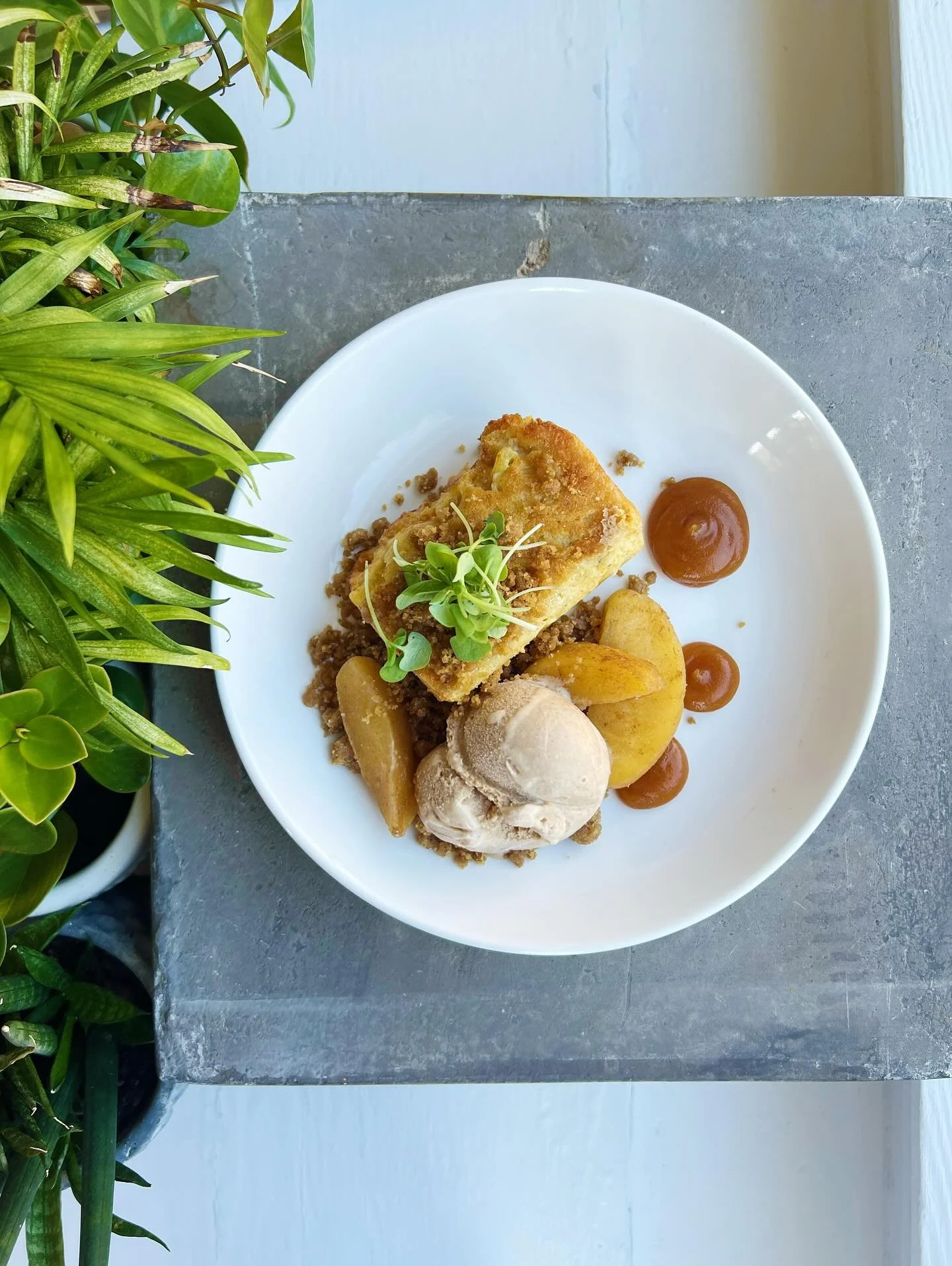 🍎🌿🍎🌿🍎

hello 👋 
G O R G E O U S 

warm apple bread pudding 
poached Fifer Orchard honeycrisp apples
fall spiced &amp; caramel ice cream 
housemade apple butter 
brown sugar crumble 

🍎🌿🍎🌿🍎

be sure to book ahead for reservations, 
as our b