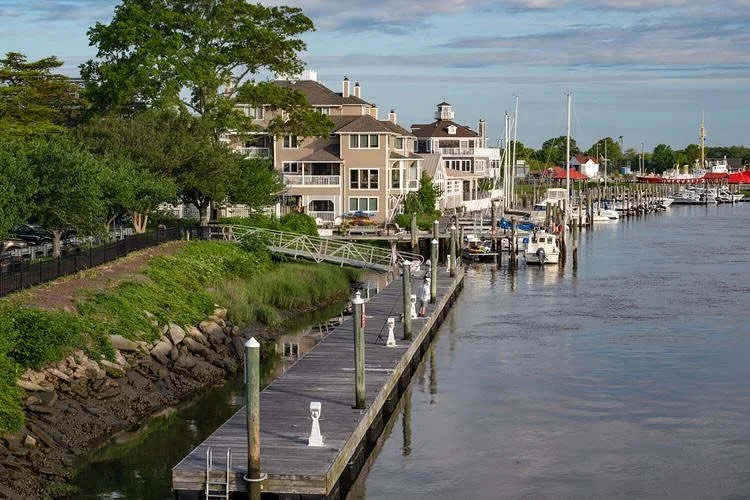 🍅 H E I R L O O M🍅
shout out from Travel &amp; Leisure

The tri-state peninsula that includes Delaware, the eastern shores of Maryland, and Virginia (hence, Delmarva) was once an agricultural powerhouse that fed New York City, Philadelphia, Baltimo