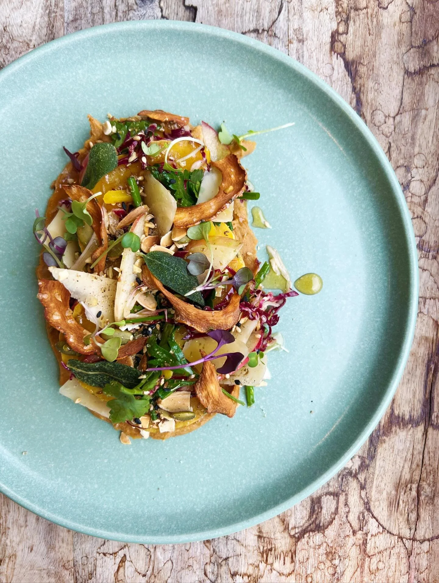 ✨ODE TO FALL SQUASH✨

brown butter braise delicata squash 
crispy squash chips 
pickle delicata squash
pumpkin seed dukkah 
herb salad 
butternut squash butter 
shaved parmesan
maple &amp; apple cider vinaigrette 

🎄✨🦌🎄✨🦌

please consider donatin