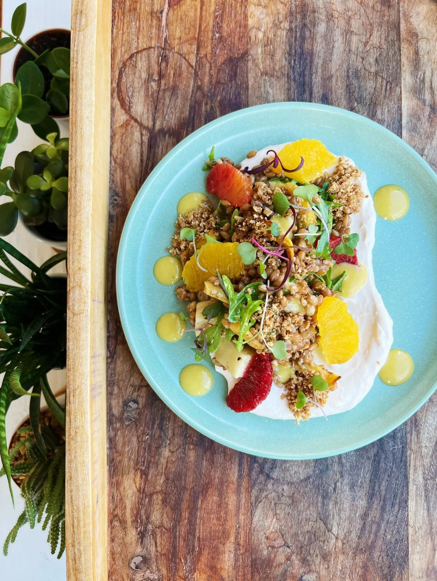 💜🩷🤍💜🩷🤍

📸: winter grain salad
arugula, castle valley mills rye berries, roasted carrots, parsnips &amp; celery root, winter citrus supremes, blood orange yogurt, honey dijon &amp; sherry vinaigrette 

💜🩷🤍💜🩷🤍

we are open with all new eve