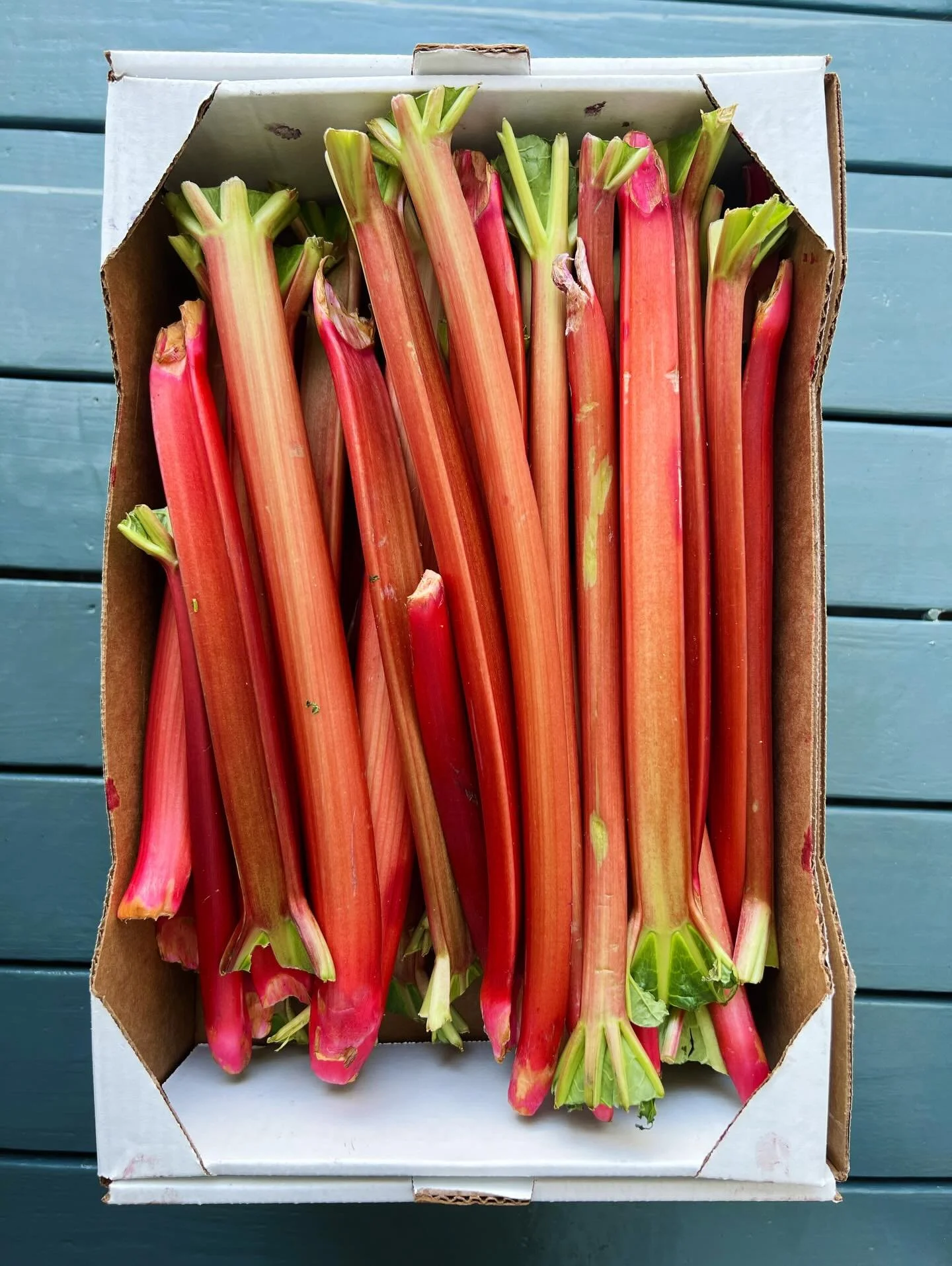 back door delivery&hellip;.

fifer orchard rhubarb &amp; asparagus 

🍴🌿🍓🍴🌿🍓