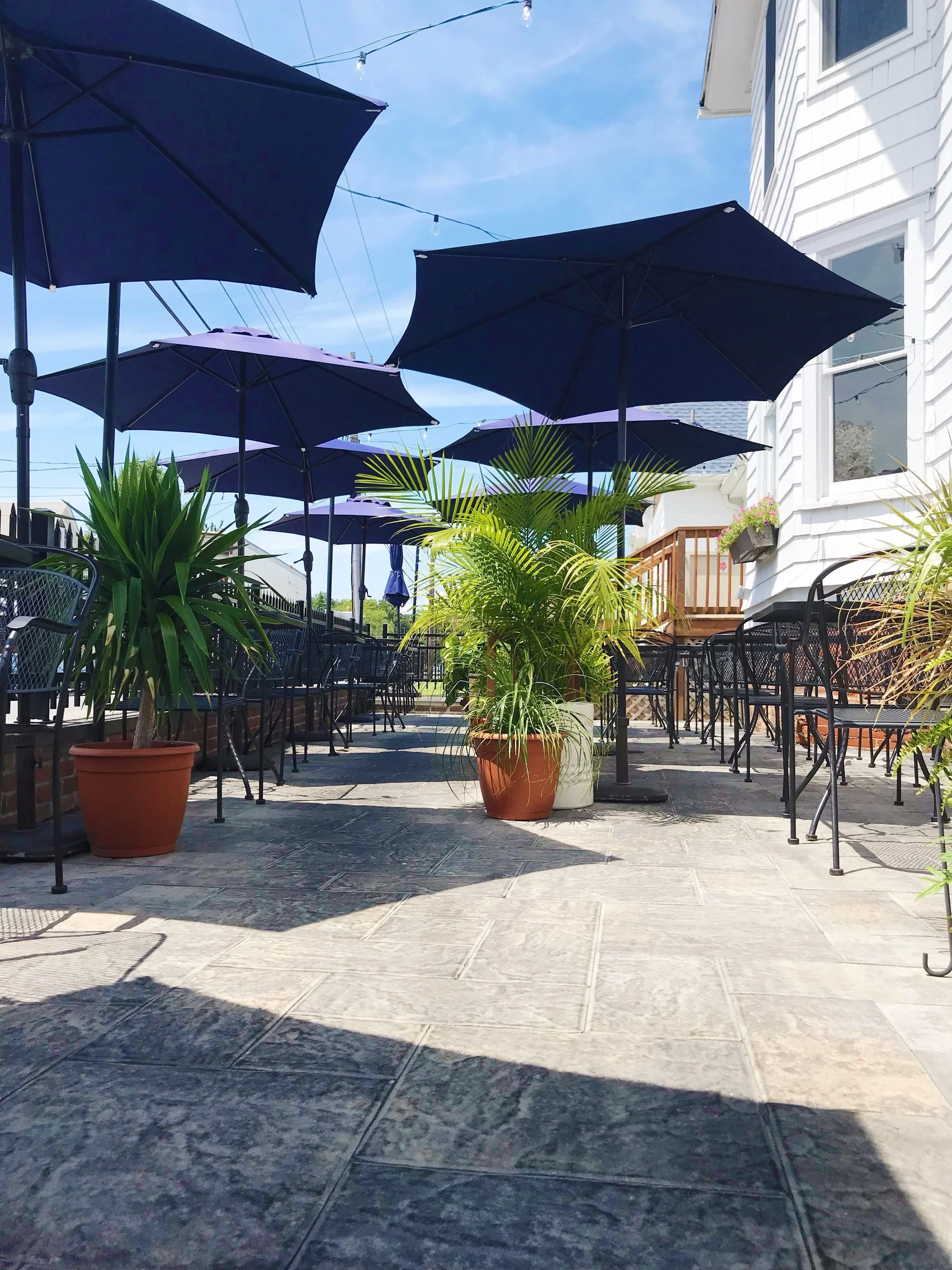 🌿☀️🍴🌿☀️🍴

✨gorgeous weather alert✨

we have opened the PATIO for the next 3 days:

tonight - Thursday, July 23rd
tomorrow - Friday, July 24th
and Saturday, July 25th 

🌿☀️🍴🌿☀️🍴

be sure to book ahead for reservations, 
as our book opens 30 da