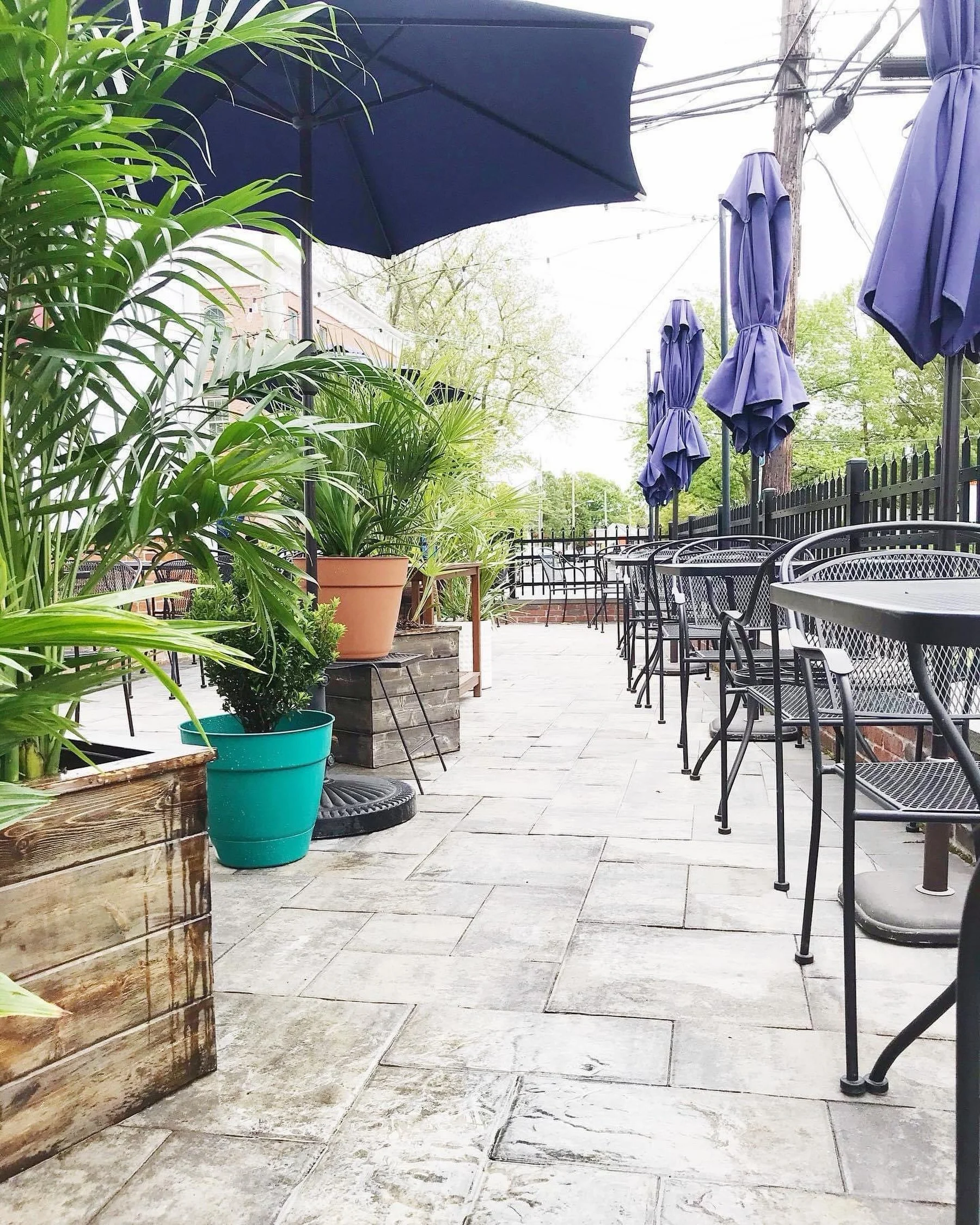 ☀️ 🌿🍴☀️🌿🍴

the PATIO is OPEN at 5 pm

tonight, September 2nd 
tomorrow, Thursday, September 3rd 
Saturday, September 5th

be sure to book ahead for reservations, 
as our book opens 30 days out, 
simply meaning todays date plus 30 days 💫 

just c