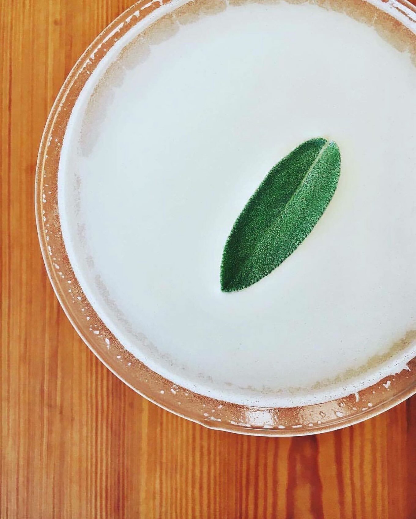 ✨sage gimlet✨

fragrant sip smith gin 
faccia brutto centerbe 
fresh squeezed lime juice 
housemade ginger syrup 
torn sage

🌿✨🌿✨🌿✨

just a reminder&hellip; 
our book opens 30 days out, 
simply meaning todays date plus 30 days 💫 

just click on o