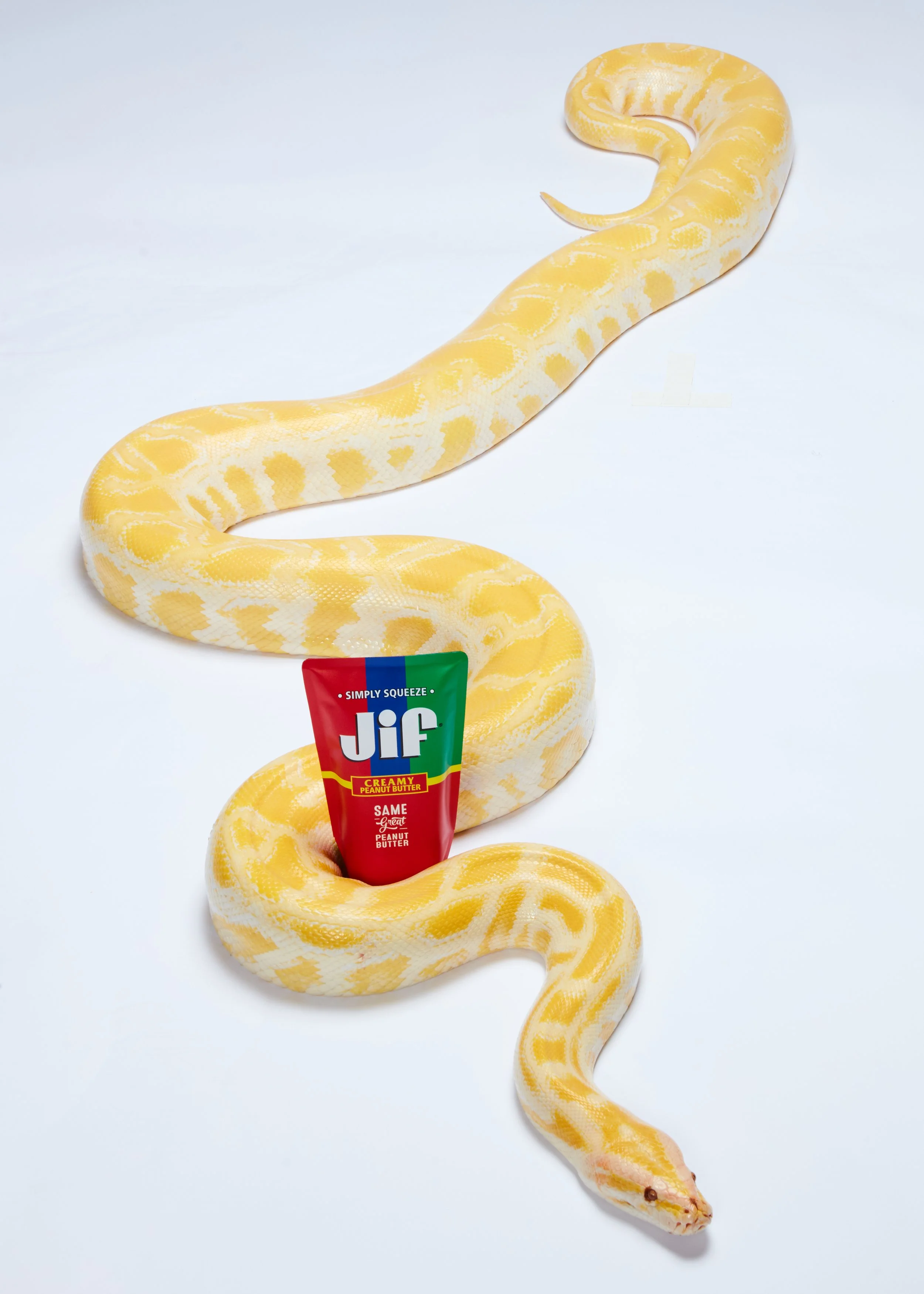 20Snake_0038.jpg
