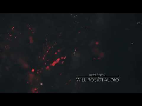 Will Rosati - Reception