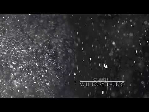 Will Rosati - Calluses II