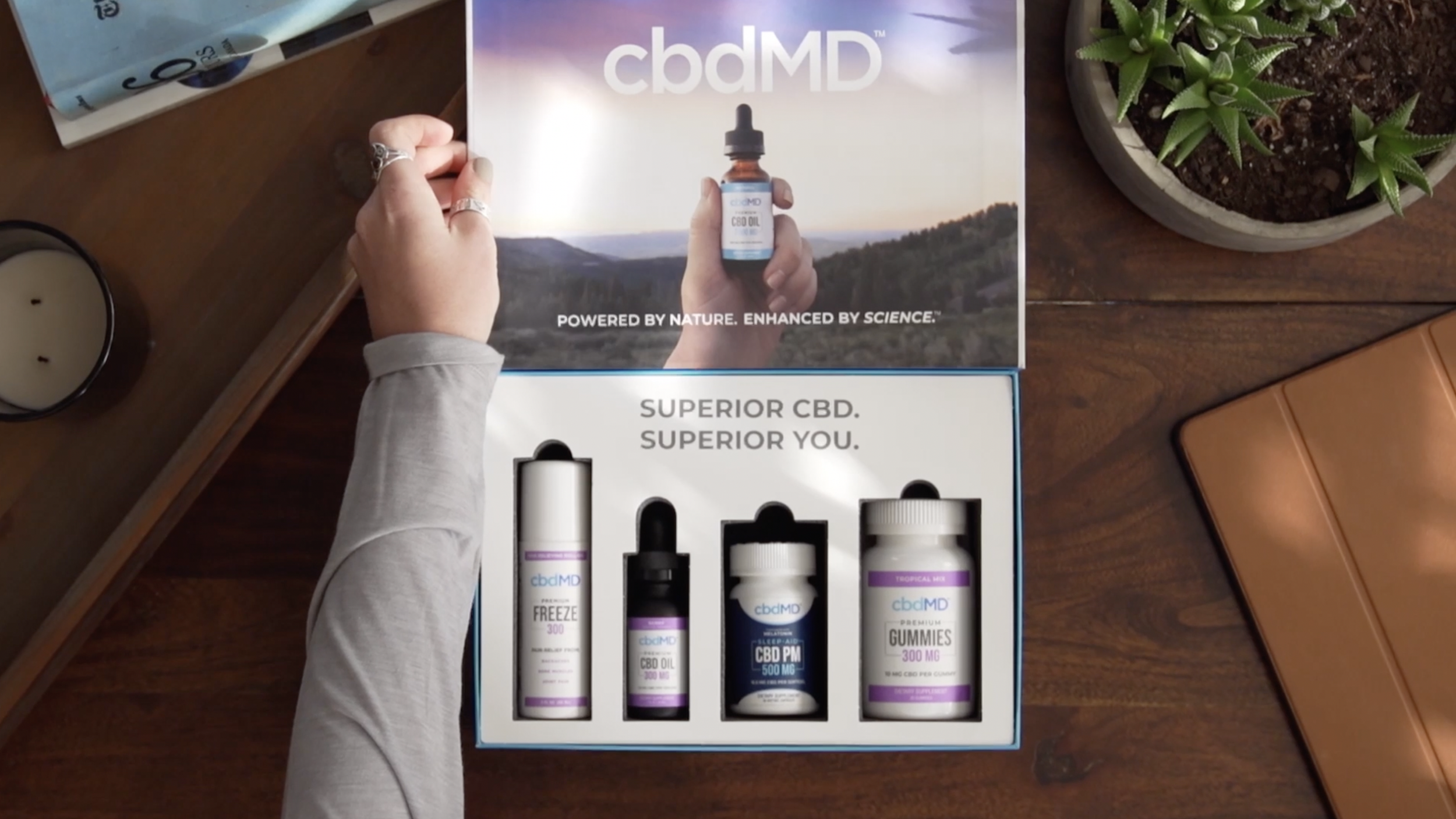 Screen Shot 2022-08-17 at 12.34.37 PM.png