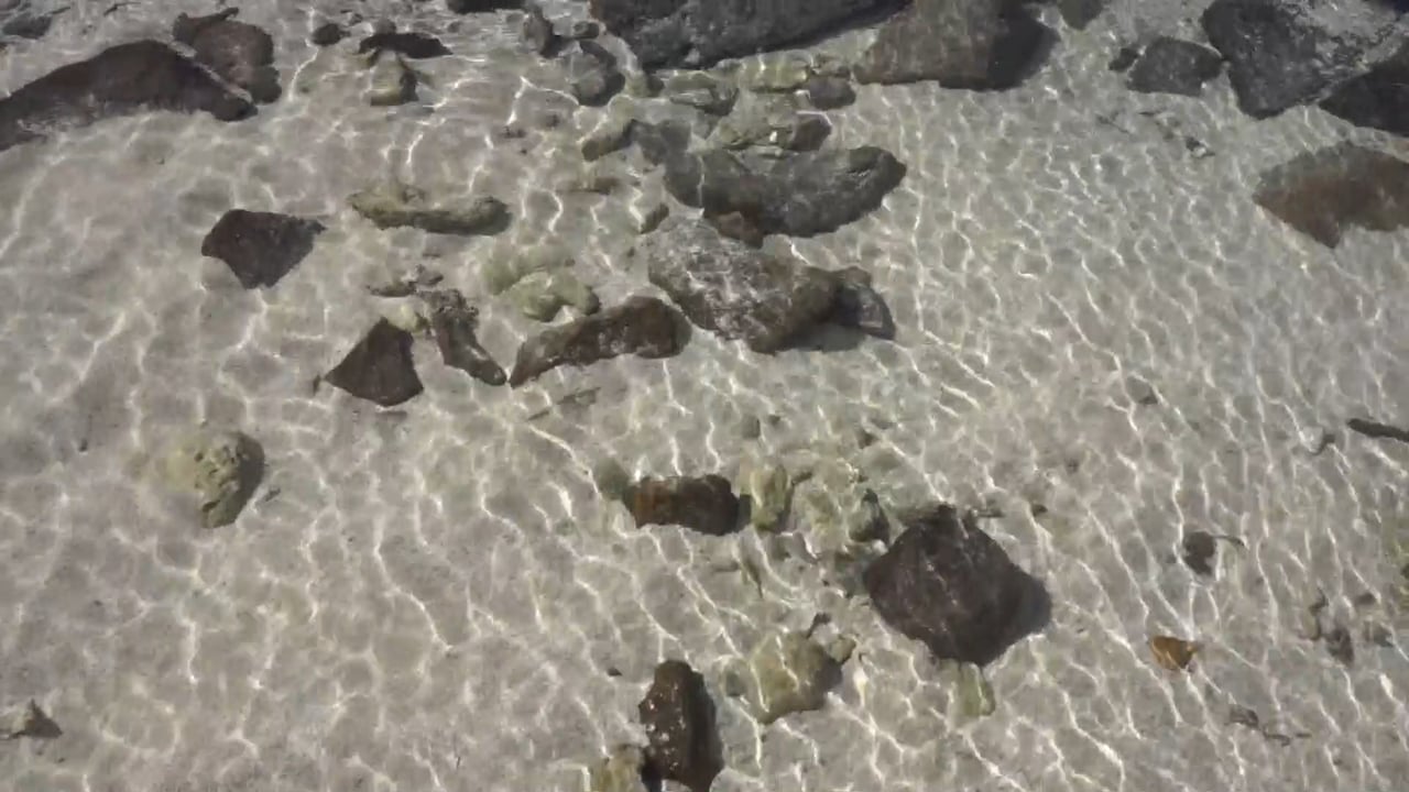 Calm