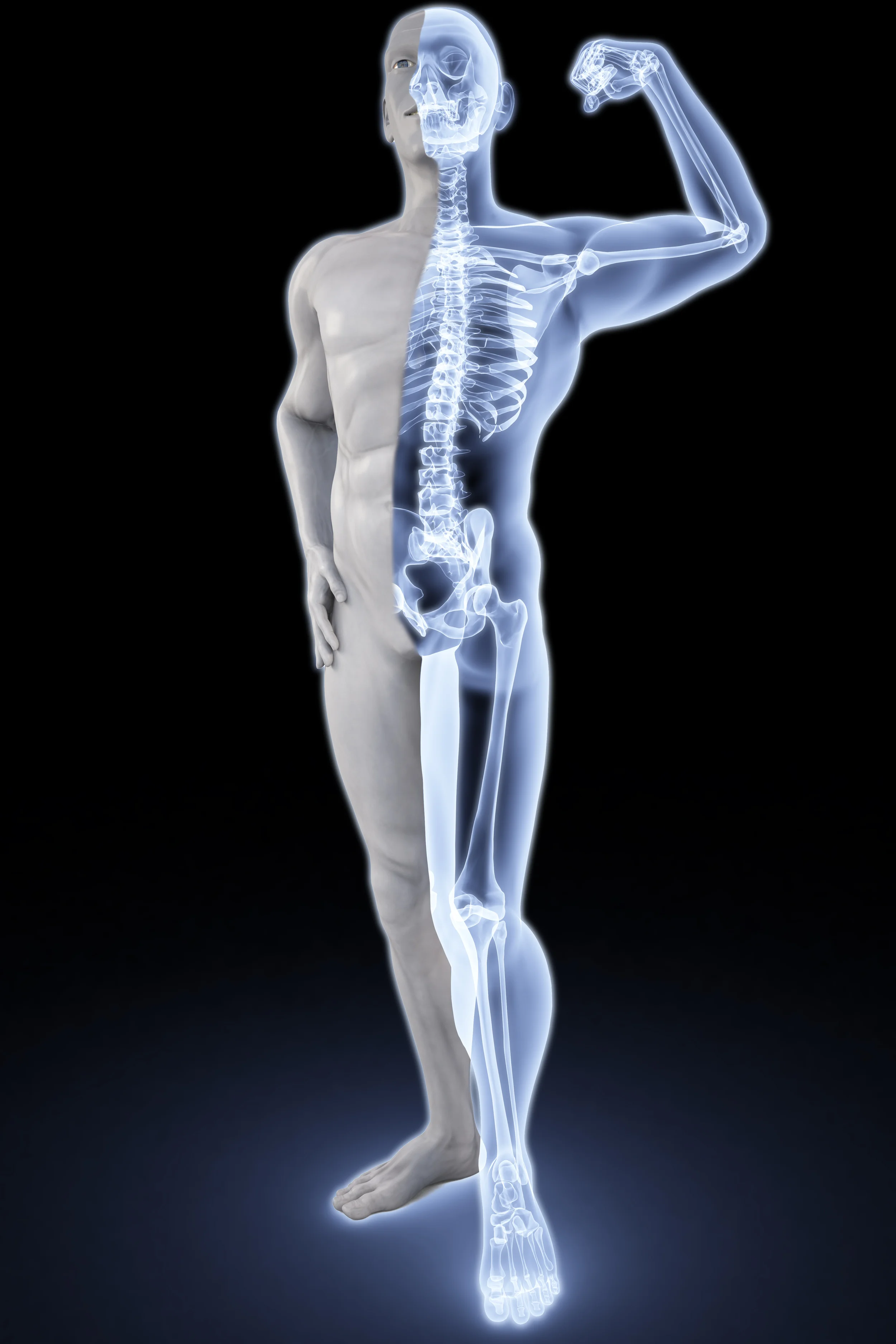 HEALTHY BONES AT EVERY AGE — Champion Performance & Physical Therapy