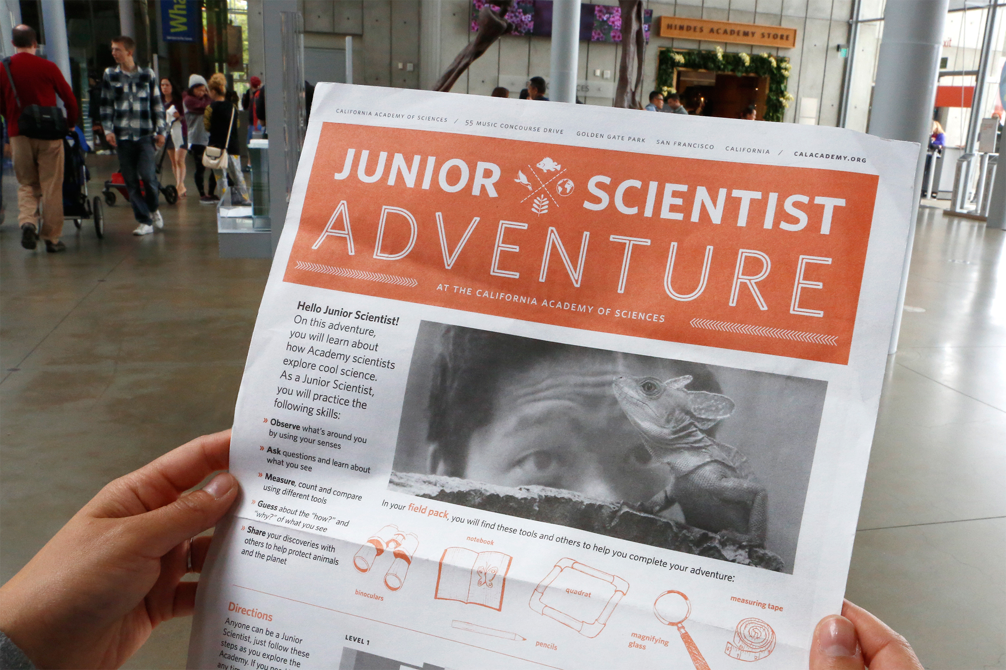 JuniorScientist_Masthead.jpg