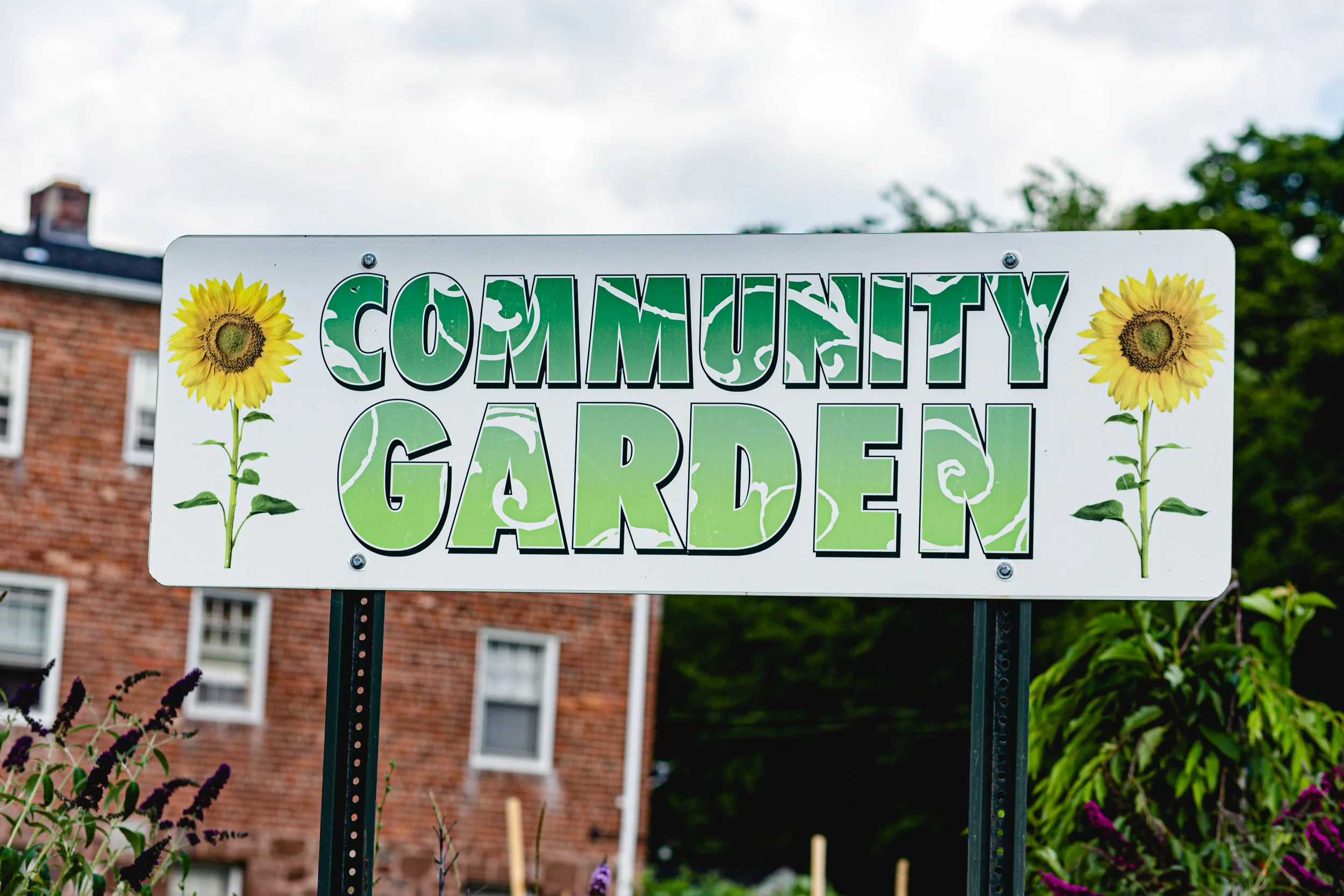 Community garden.jpeg