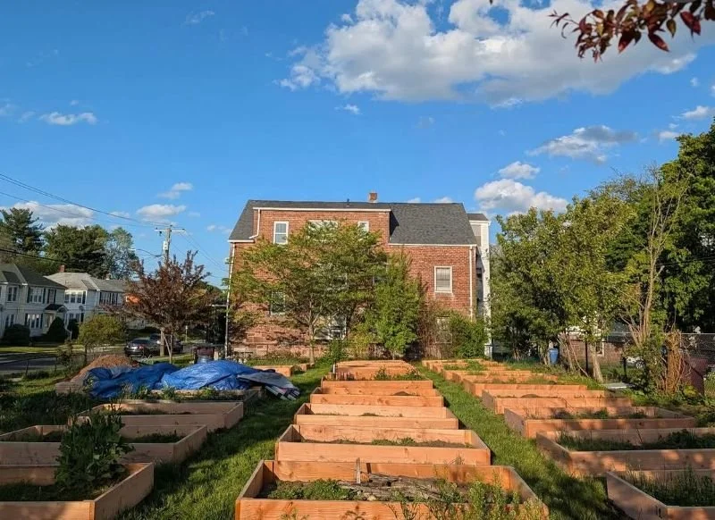 Spring Updates from New Britain ROOTS