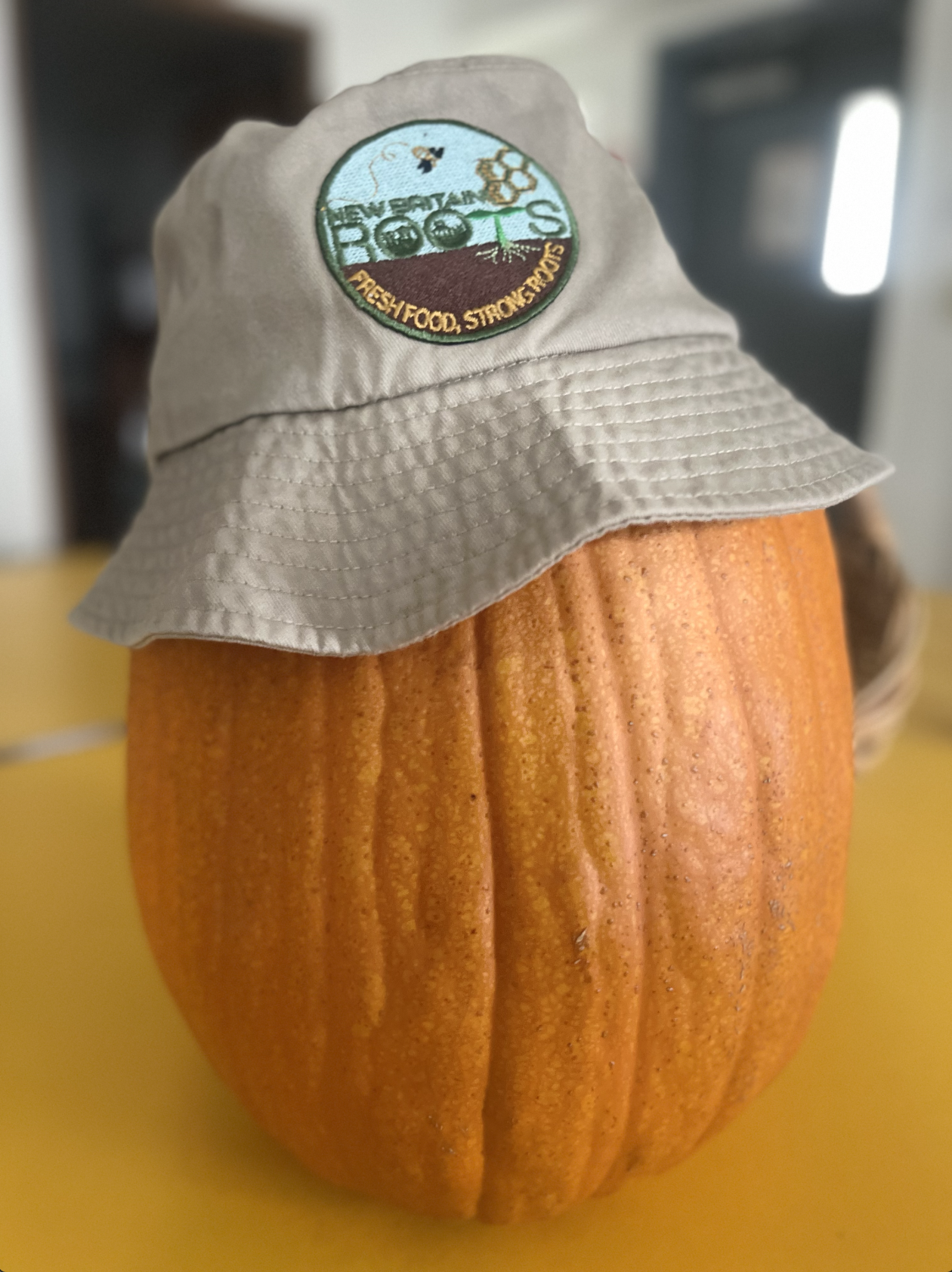 Screenshot 2024-10-11 at 2.52.33 PM.png