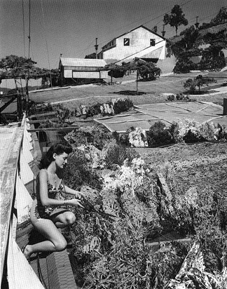 Figure 1 Douglas Aircraft Facility, 1942, Santa Monica, California