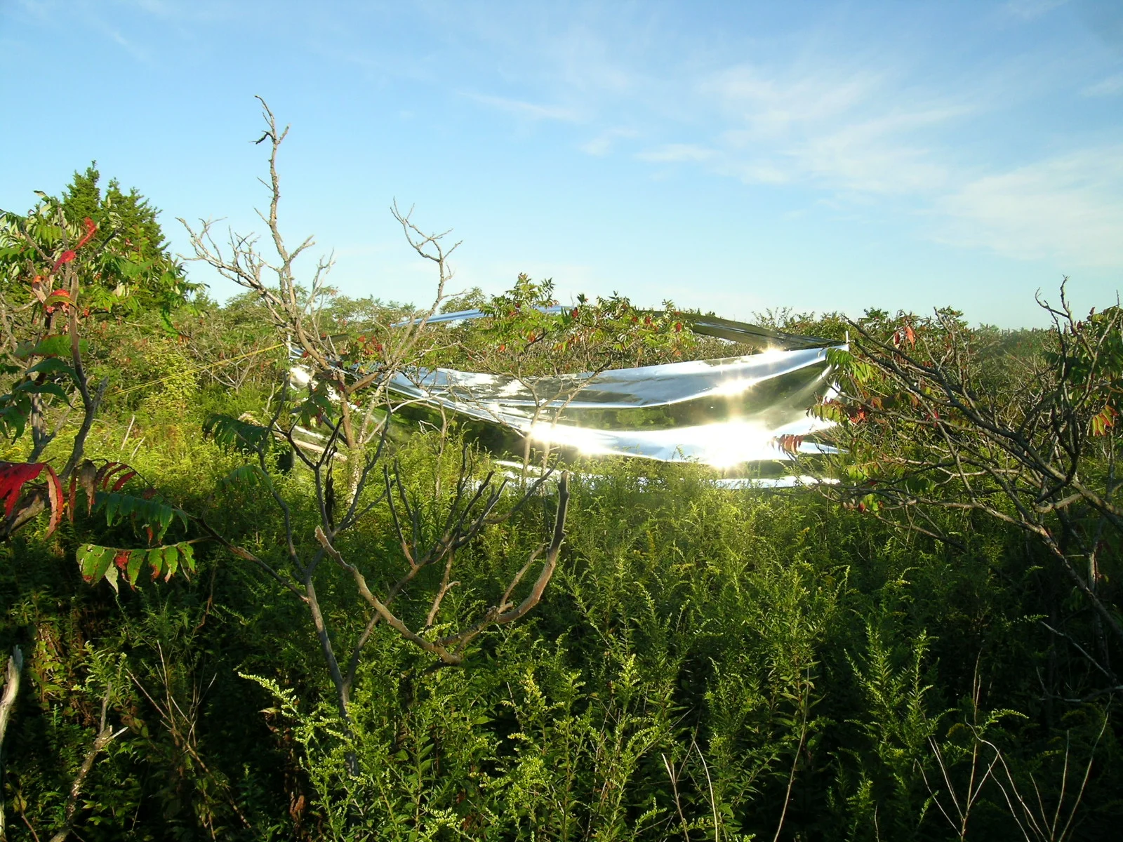  For more about this project, see   Research   
