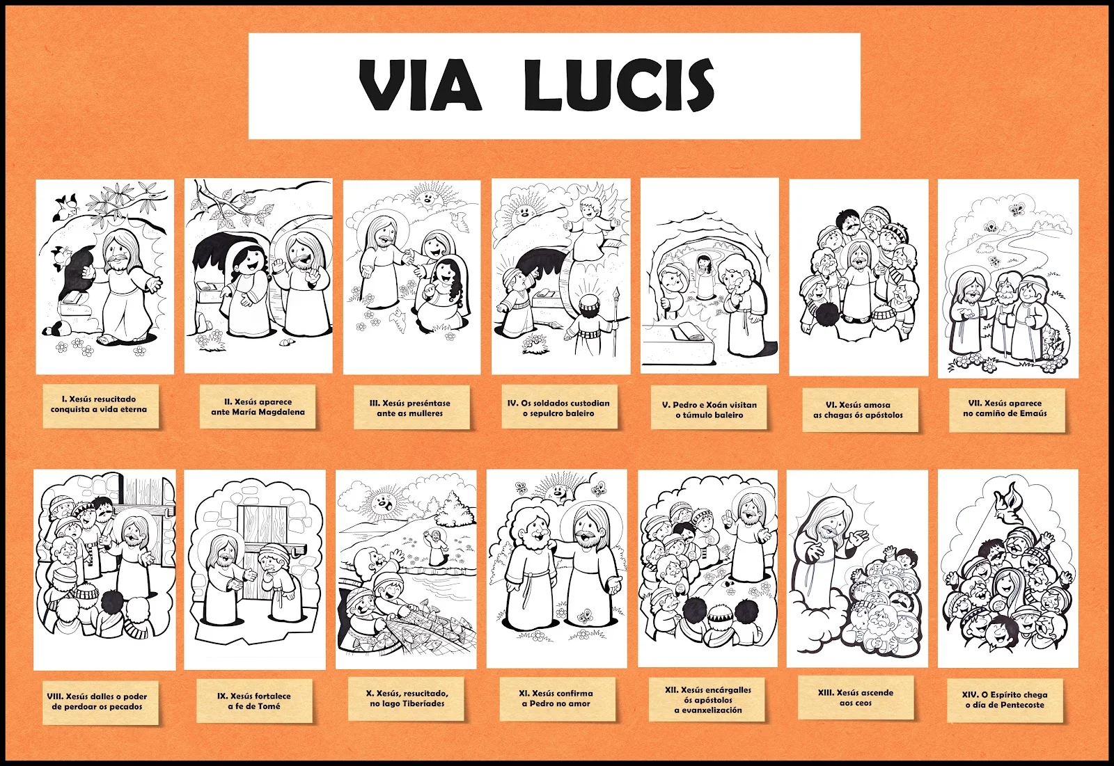 via lucis.jpg