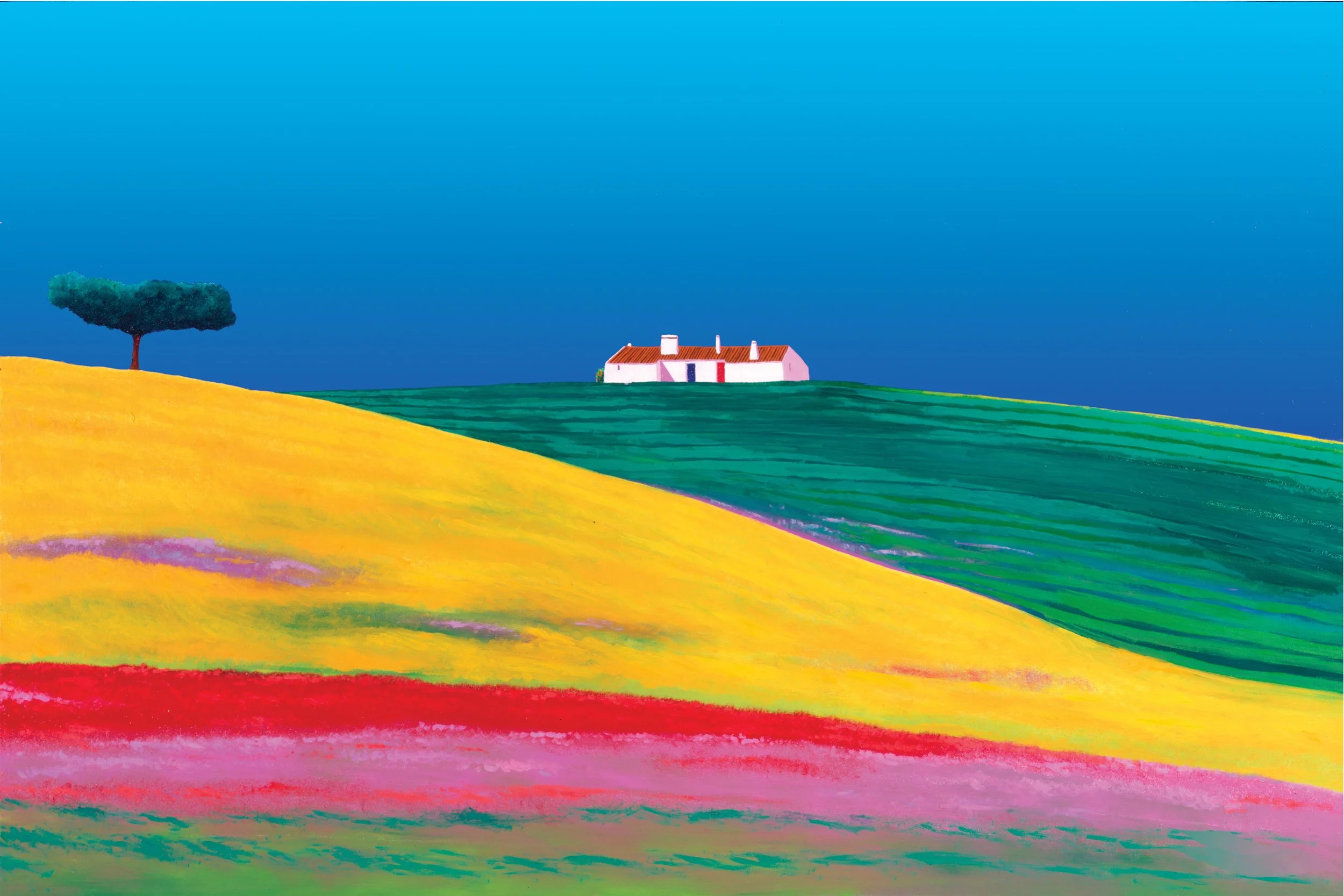 DB48A_A3_MTE ALENTEJANO COM PAPOILAS imagem.jpg