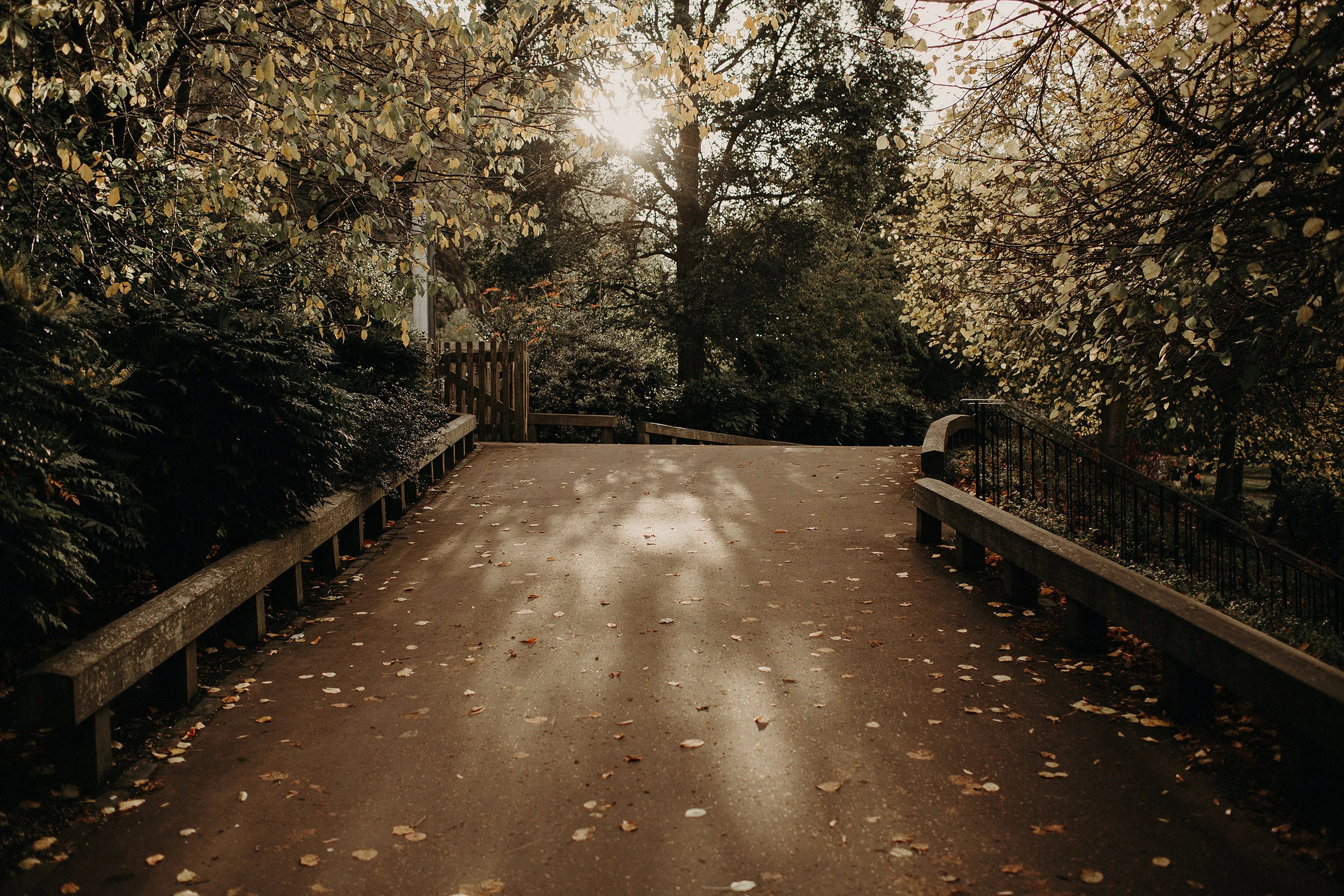 princess street gardens
