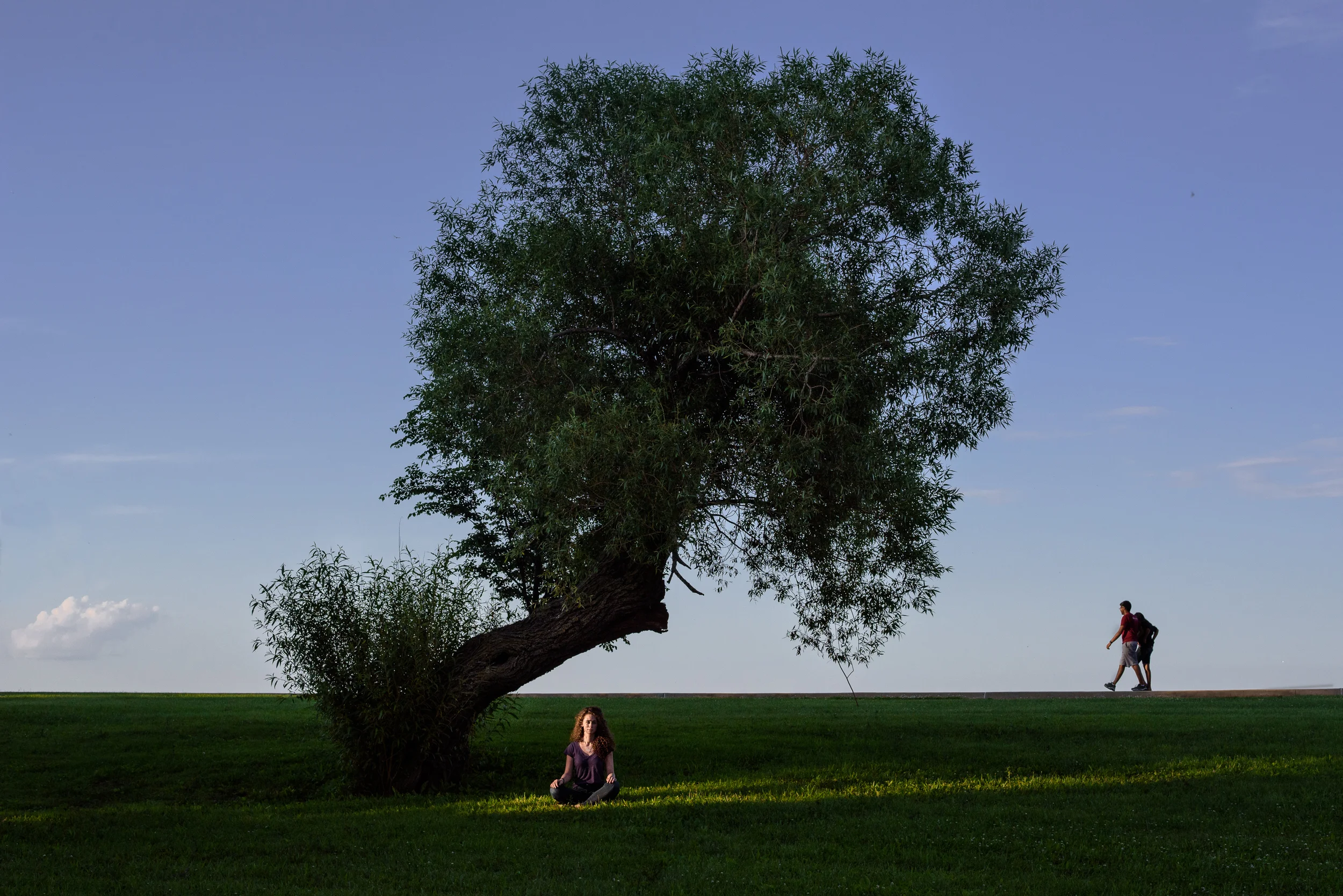 Megan Tree Website.jpg
