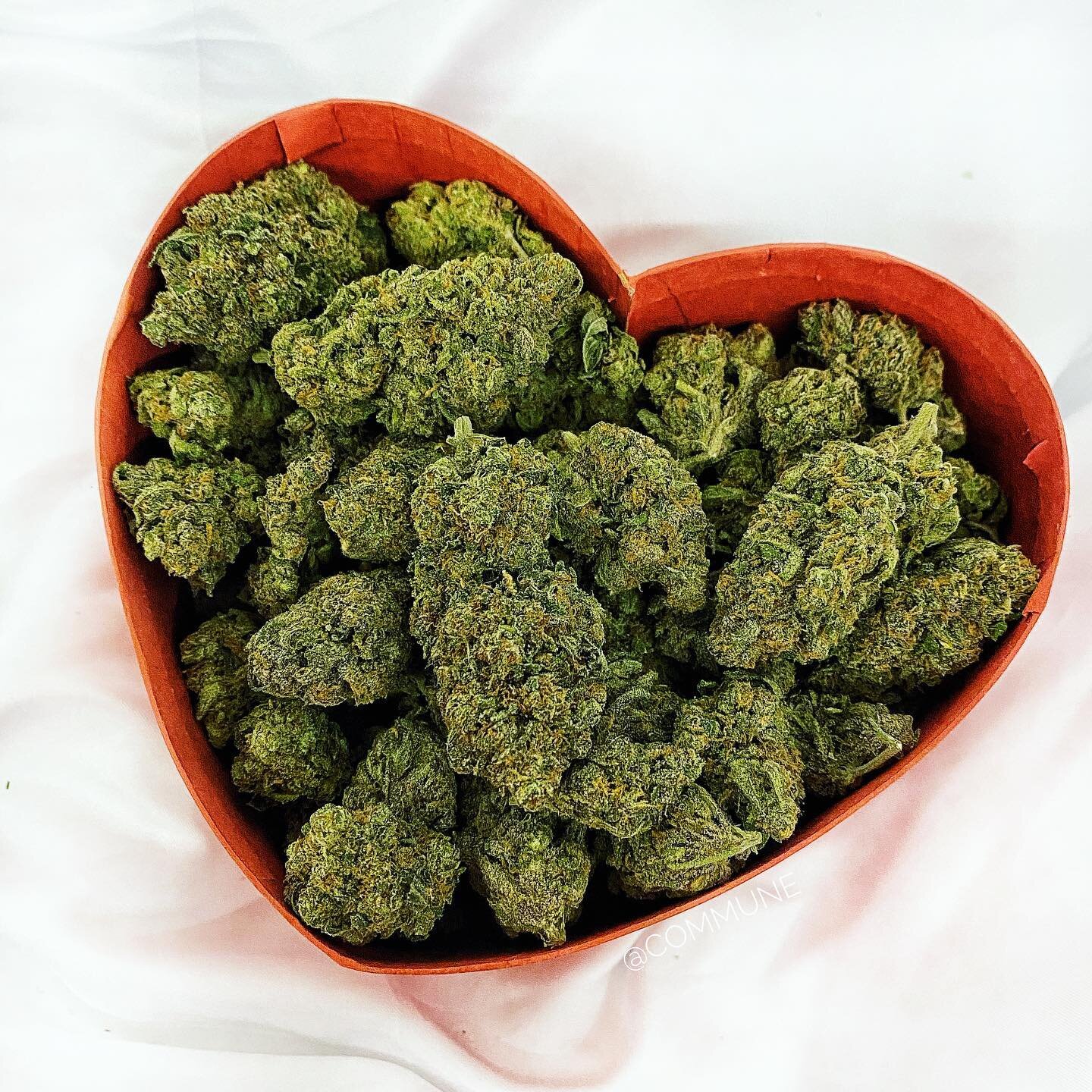 The best Valentine&rsquo;s gift for yourself or a special someone! 😍❤️ ft. our Top Shelf - 9lb. Hammer (Indica)