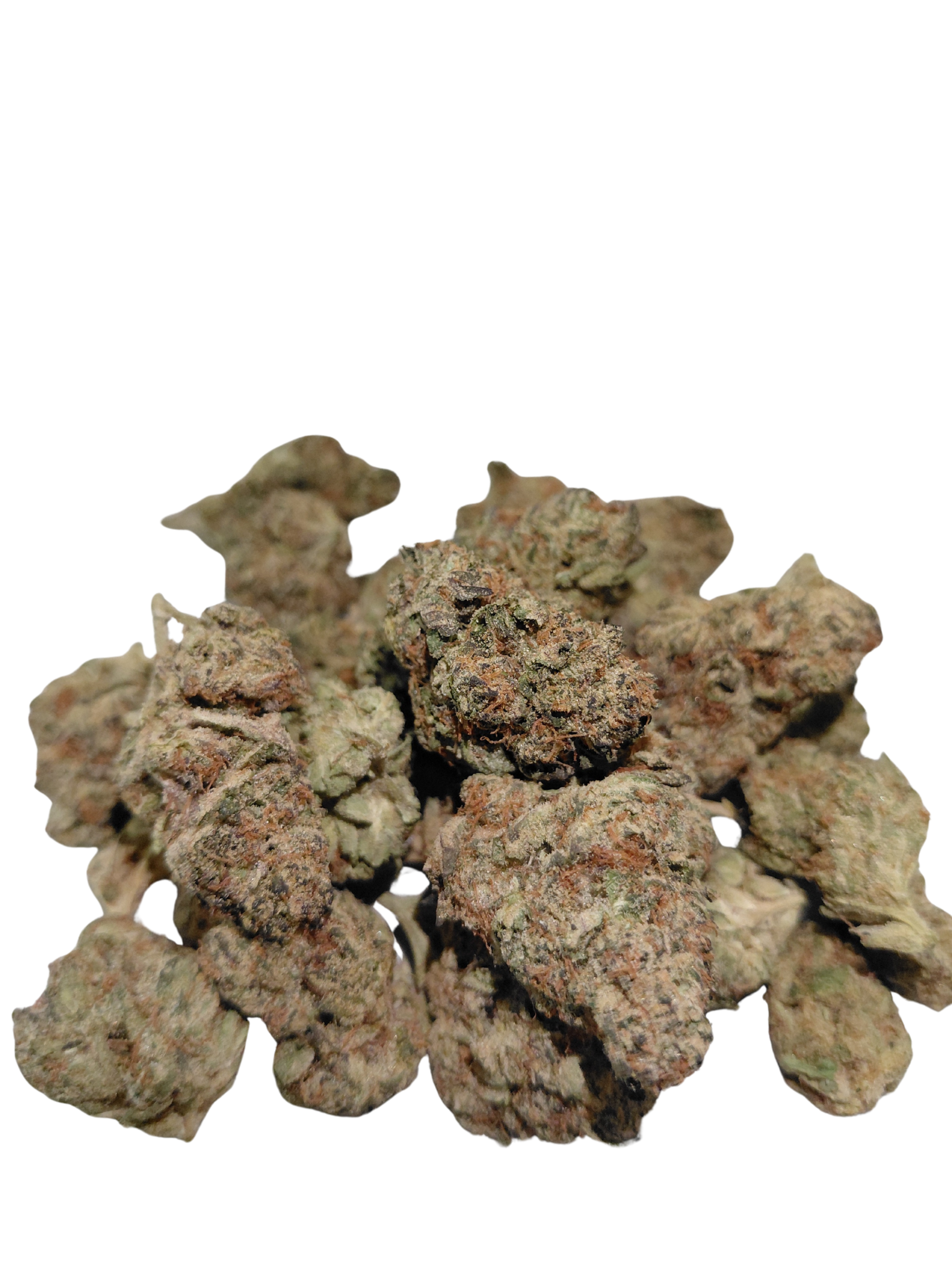 Purple haze (TS).png
