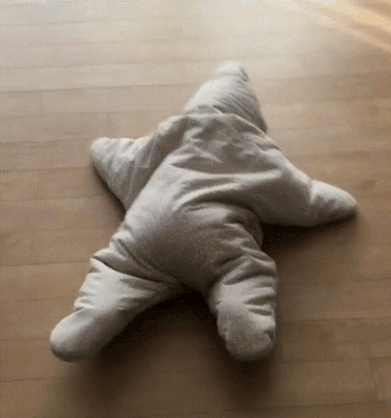starfish.gif