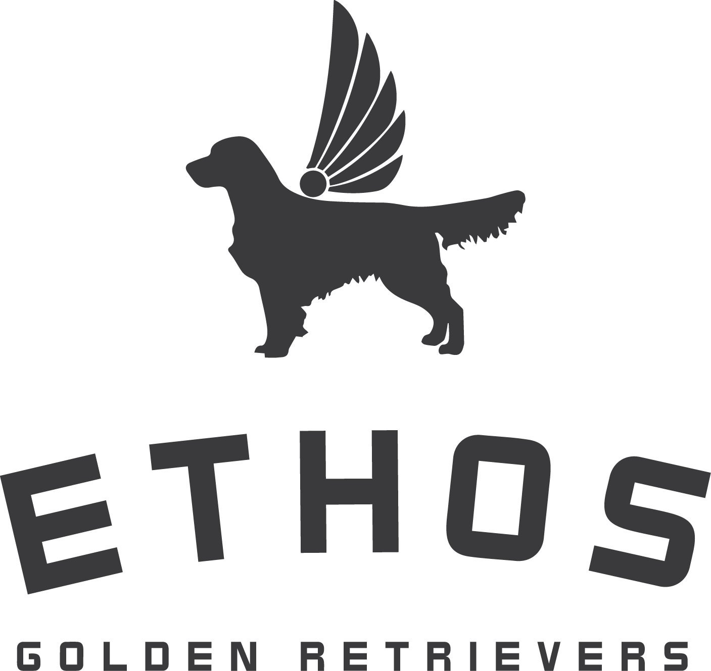 Ethos Golden Retrievers