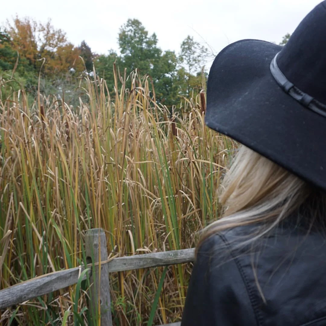 The Many Lives of Nathan James: Update