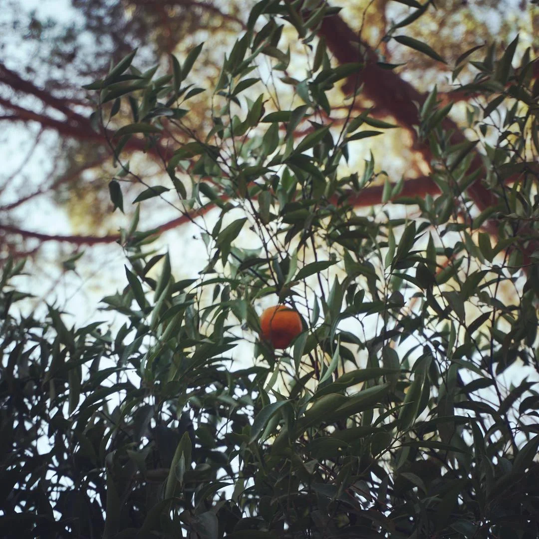 About Indie Publishing