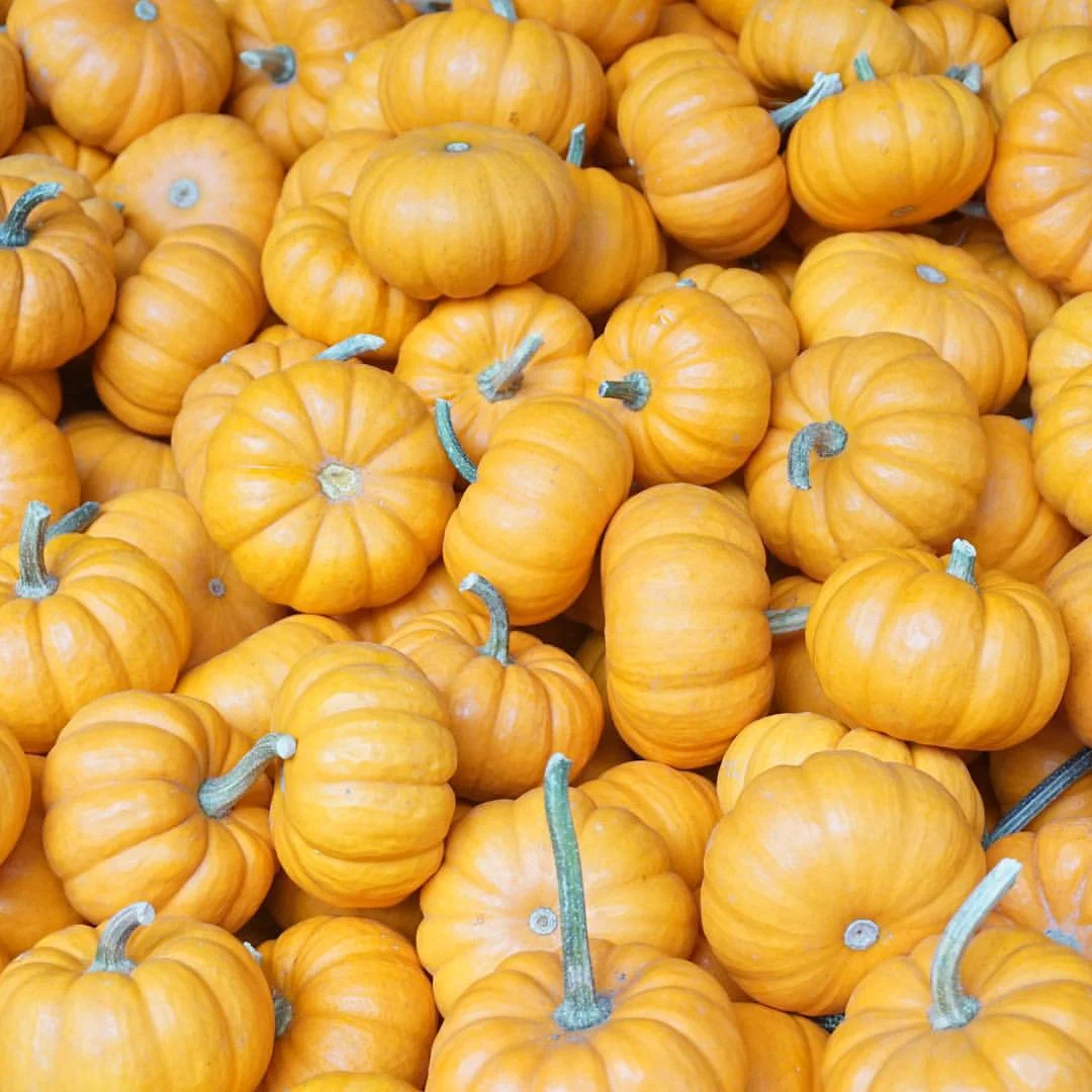 Fall