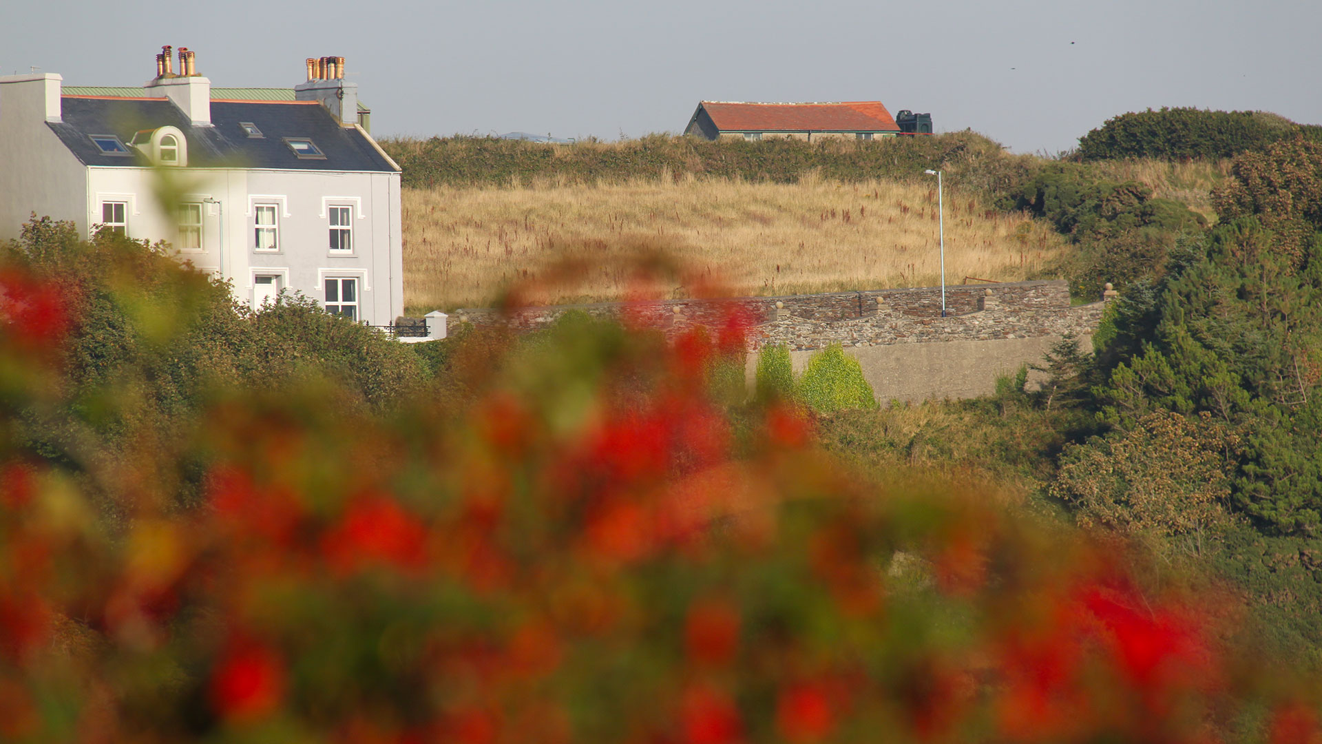 View of the cottage from Bradda Glen