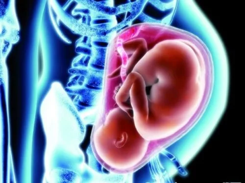 Is birth biomechanical or hormonal?