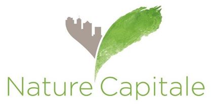 Nature Capitale Logo.jpg