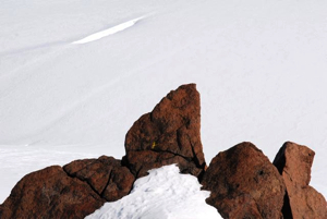 Flaam spots a yellow stain on a rock: is it lichen?