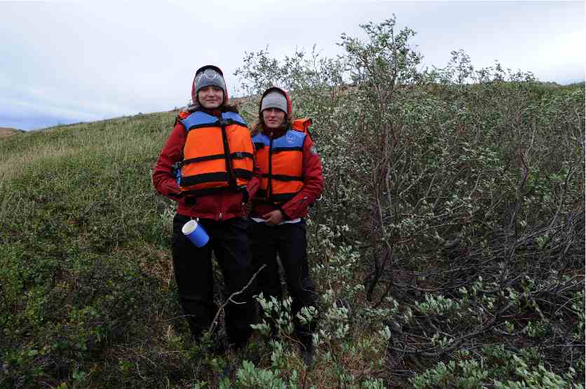 The tallest Arctic willows on Baffin Island.