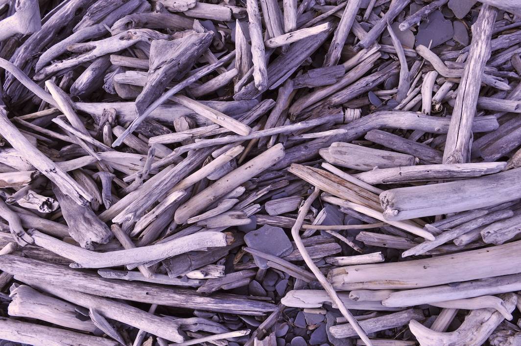 Drifting wood on the beach in Tiksi ...