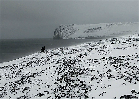 De Long island discovery in the Russian Arctic, one stone at a time